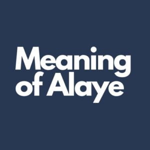 What Does Alaye Mean In Texting?