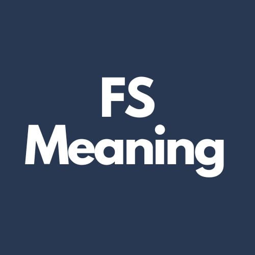 fs meaning