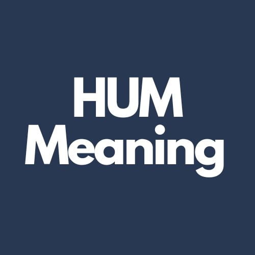 hum meaning