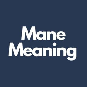 What Does Mane Mean In Texting?