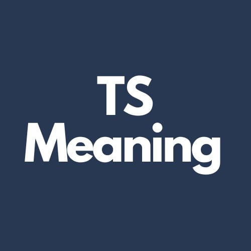 ts meaning
