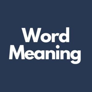 What Does Word Mean In Texting?