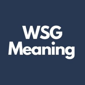 What Does Wsg Mean In Texting?