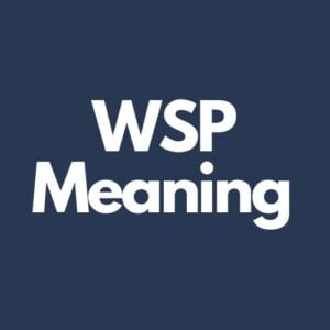 What Does WSP Mean In Text?