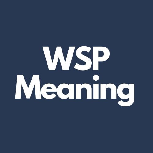  What Does WSP Mean In Text Real Life Examples 