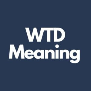 What Does WTD Mean In Texting?