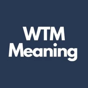 What are the various meanings of wtm and when can this expression be used?