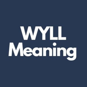 What does WYLL mean in Texting?