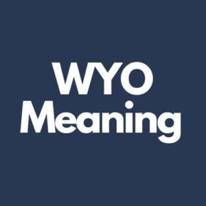 What Does WYO Mean In Texting?