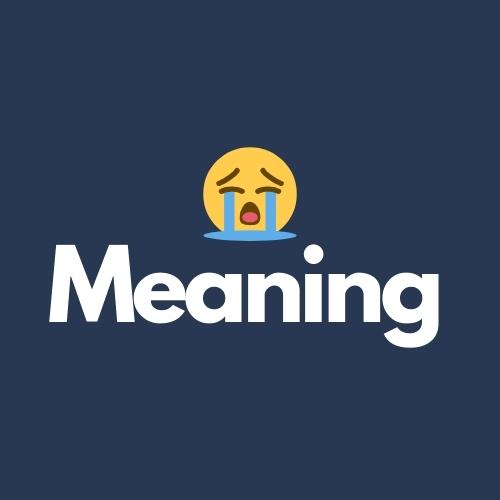 😭 Meaning