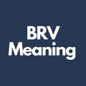 What Does BRV Mean In Texting?