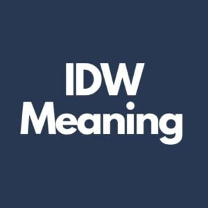 What Does IDW Mean In Texting?