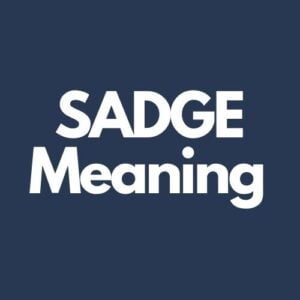 What Does Sadge Mean In Texting?