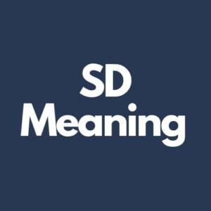 What Does SD Mean In Texting?