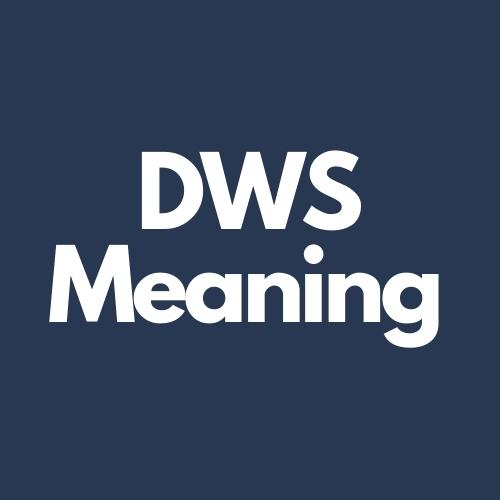 dws meaning