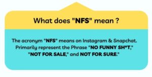 meaning of nfs
