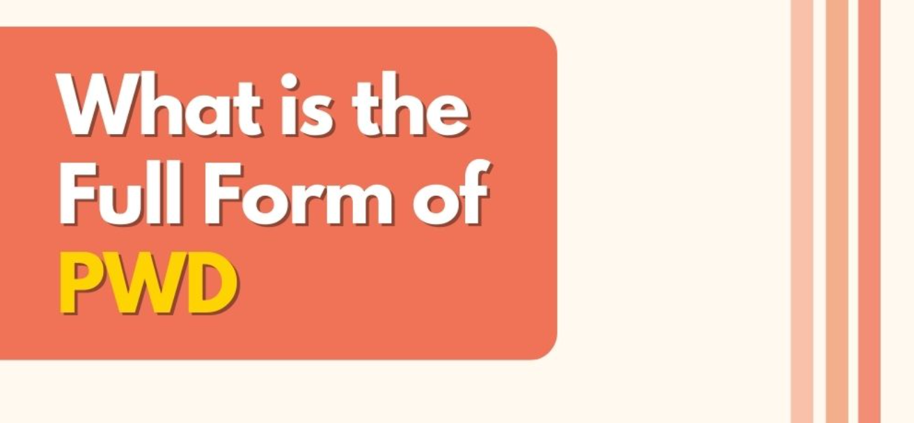 PWD FULL FORM RESPONSIBILITIES CATEGORIES Real Life Examples PWD FULL FORM RESPONSIBILITIES CATEGORIES Real Life Examples