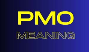 pmo meaning