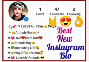 instagram bio for boys stylish font english