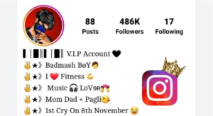 instagram bio for boys stylish font love